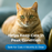 PetAg Vitamin & Mineral Gel Cat Supplement 3.5oz