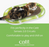 Catit Senses 2.0 Oval Circuit Scratcher