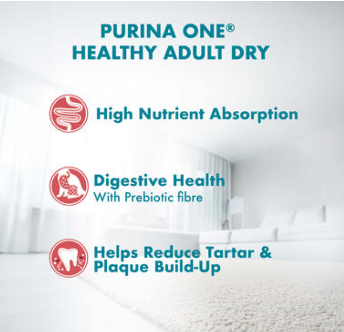 Purina One Healthy Adult Salmon and Tuna 1.2kg