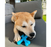 Nylabone Dura Chew Power Chew Power X Bone Beef Regular
