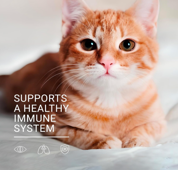 Vetoquinol Viralys L-Lysine Supplement Oral Gel 142g