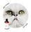 Eye Envy Solution For Cat