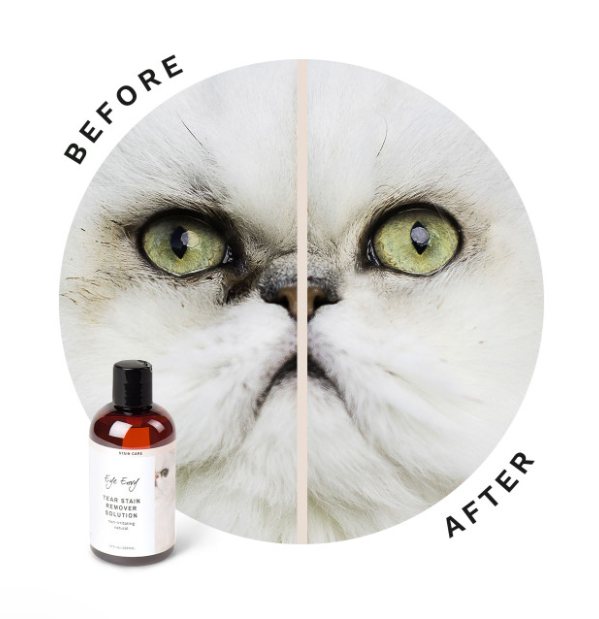 Eye Envy Solution For Cat