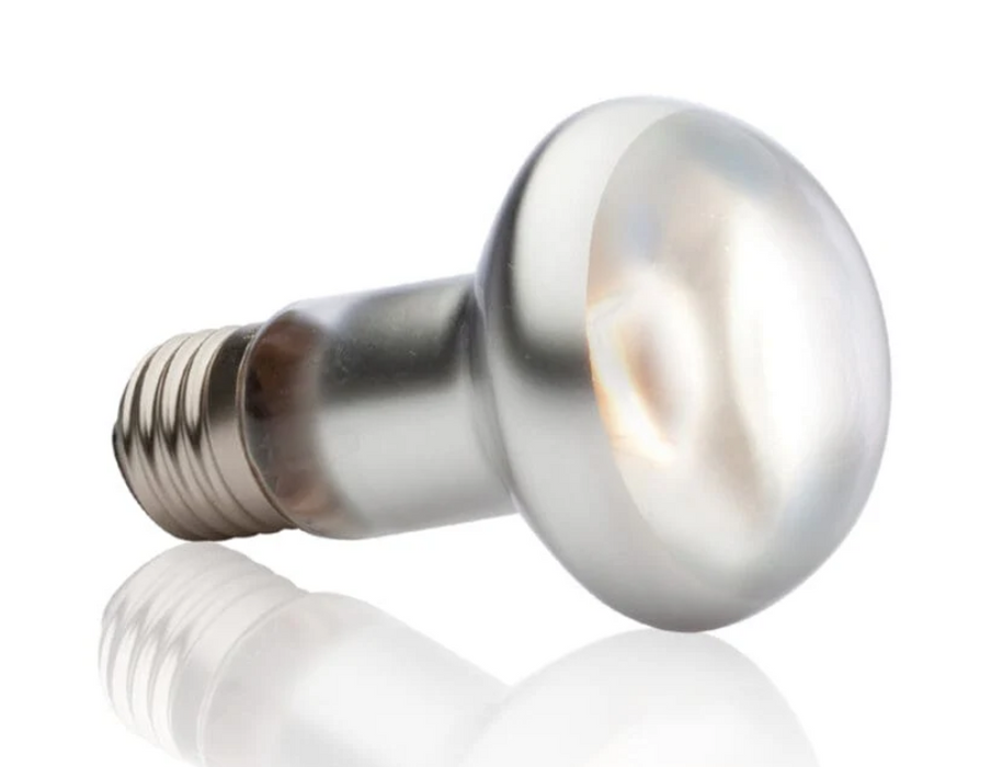 Exo Terra Intense Basking Spot Lamp S20 75w
