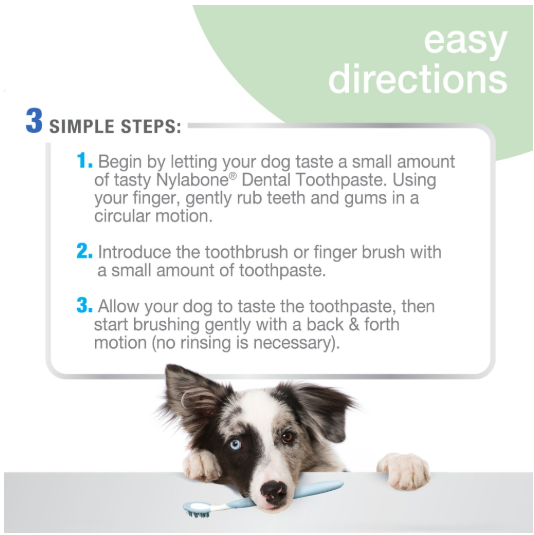 Nylabone Advanced Oral Care Dog Peanut Butter Toothpaste