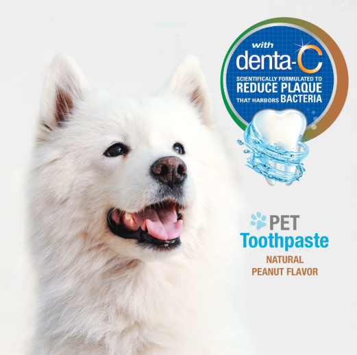 Nylabone Advanced Oral Care Dog Peanut Butter Toothpaste