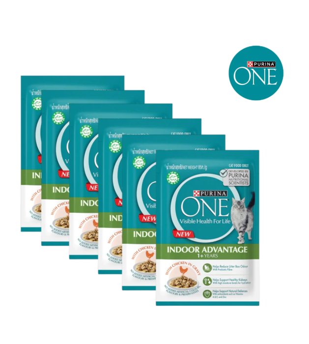 Purina One Cat Indoor Advantage Chicken in Gravy 85g