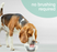 Nylabone Oral Care Water Additive Dental Care for Dogs 16oz