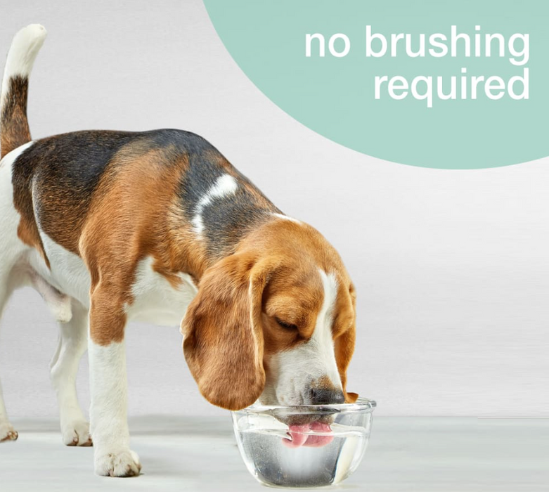 Nylabone Oral Care Water Additive Dental Care for Dogs 16oz
