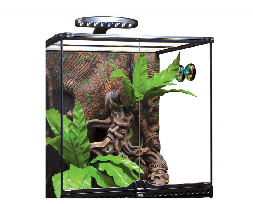 Exo Terra Analog Hygrometer