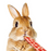 Marukan Apple Juice Puree for Small Animals 50g (10g x 5)
