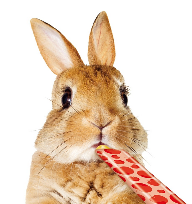 Marukan Apple Juice Puree for Small Animals 50g (10g x 5)