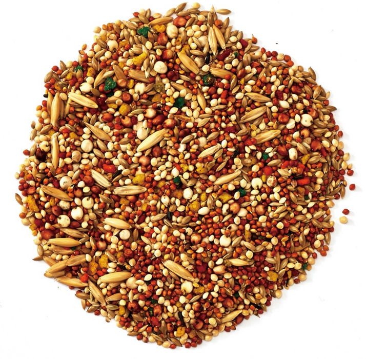 Marukan Fruit Blend Suitable for Cockatiel Bird