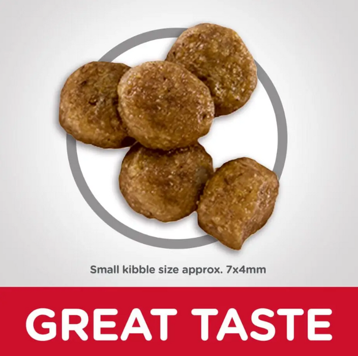 Hill's Science Diet Puppy Lamb Meal & Rice Small Bites (2 Sizes)