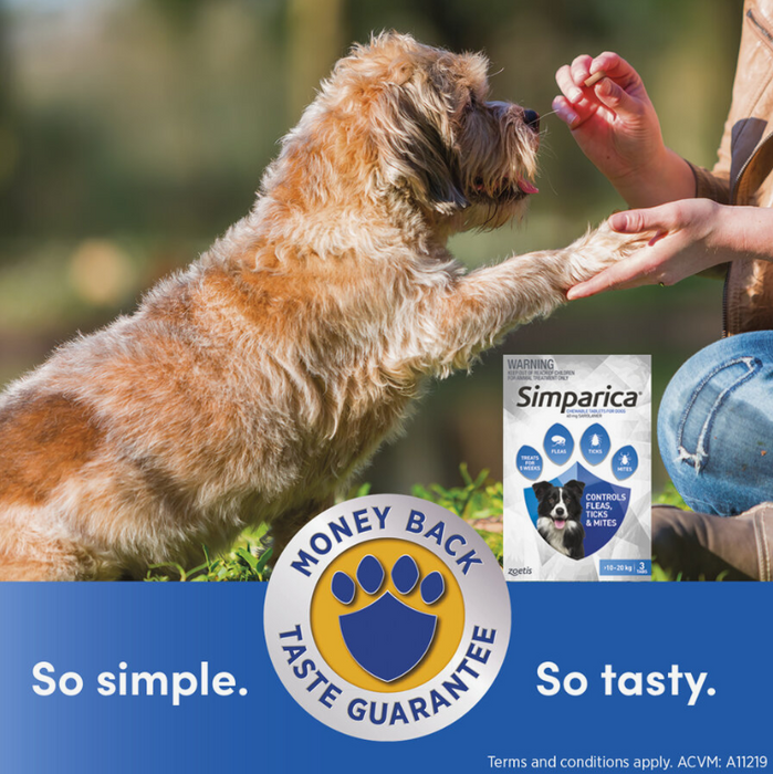 Simparica Anti Flea & Tick Chews For Medium Dogs (10.1-20kg) 3ct