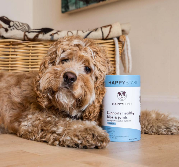 Happy Bond Start Collagen Joint Supplement Puppies & Young (0-3 years)