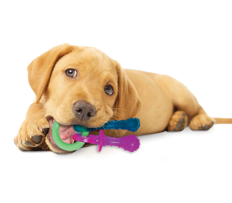 Nylabone Puppy Teething Pacifier