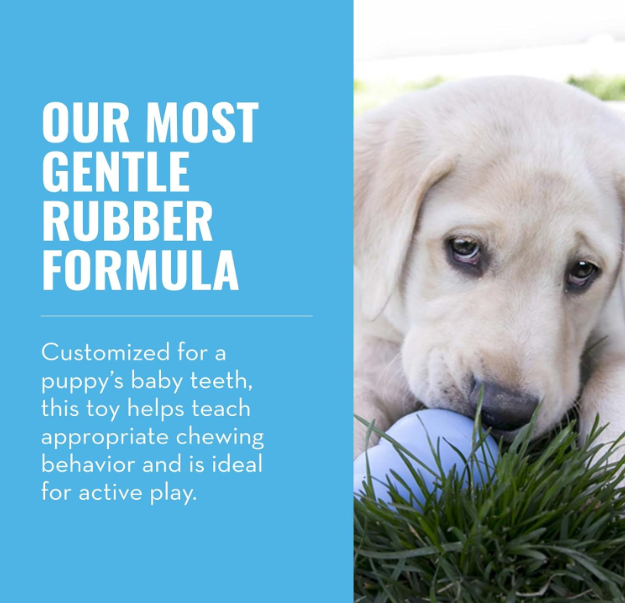 KONG Puppy Interactive Toy Blue (4 Sizes)