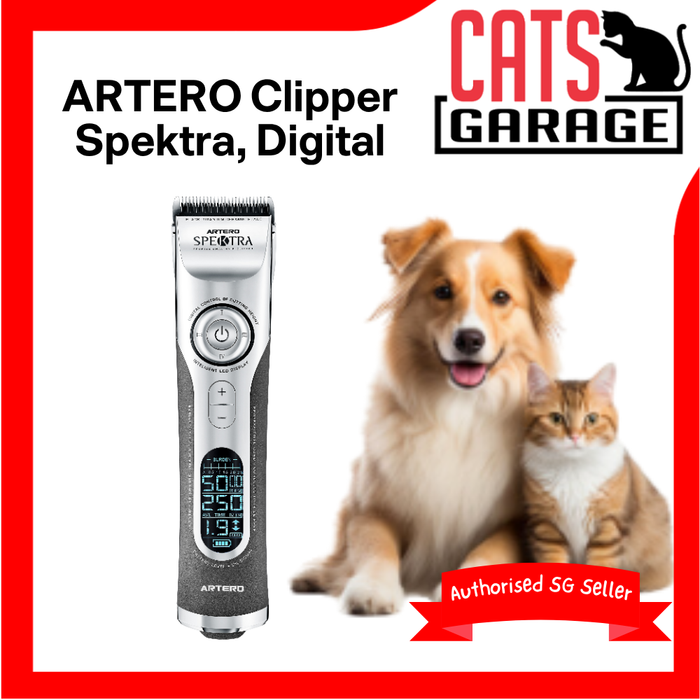 ARTERO Clipper Spektra, Digital