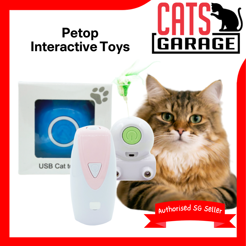 Petop Interactive Toys for Cats