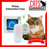Petop Interactive Toys for Cats