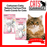 CattyMan Catty Salon Carinya Comb and Brush for Cats