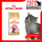 Royal Canin Feline Kitten Maine Coon Cat Dry Food 400g