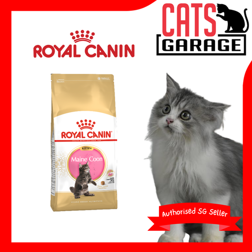 Royal Canin Feline Kitten Maine Coon Cat Dry Food 400g