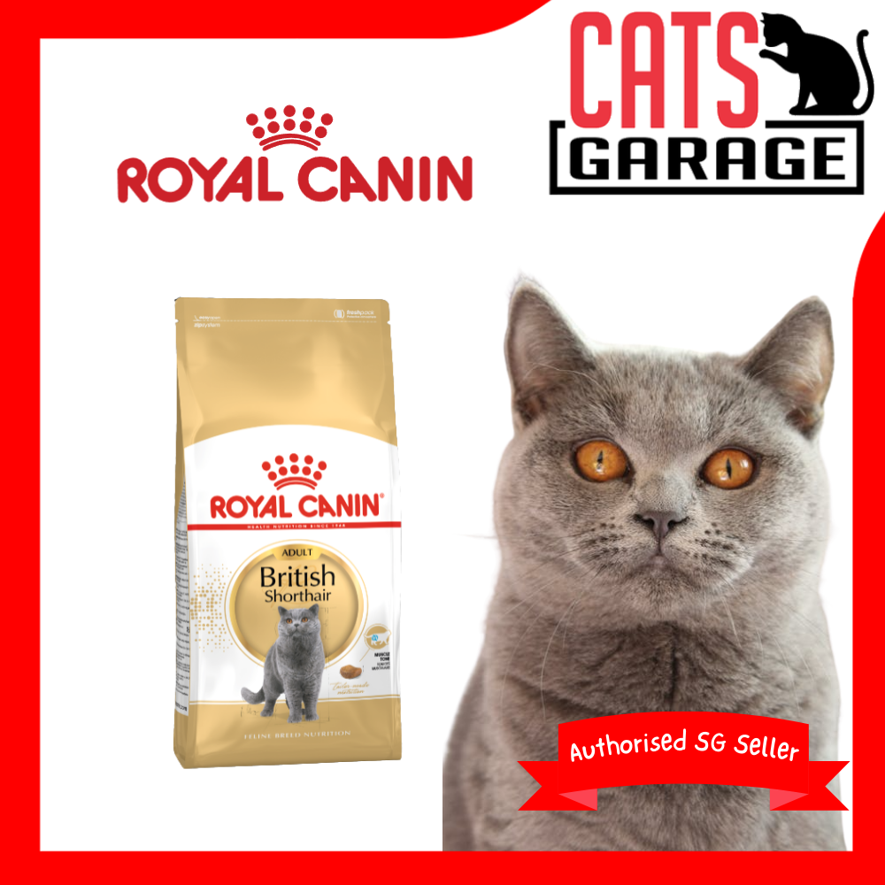 Royal Canin Feline Adult British Shorthair Cat Dry Food 4kg
