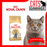 Royal Canin Feline Adult British Shorthair Cat Dry Food 4kg