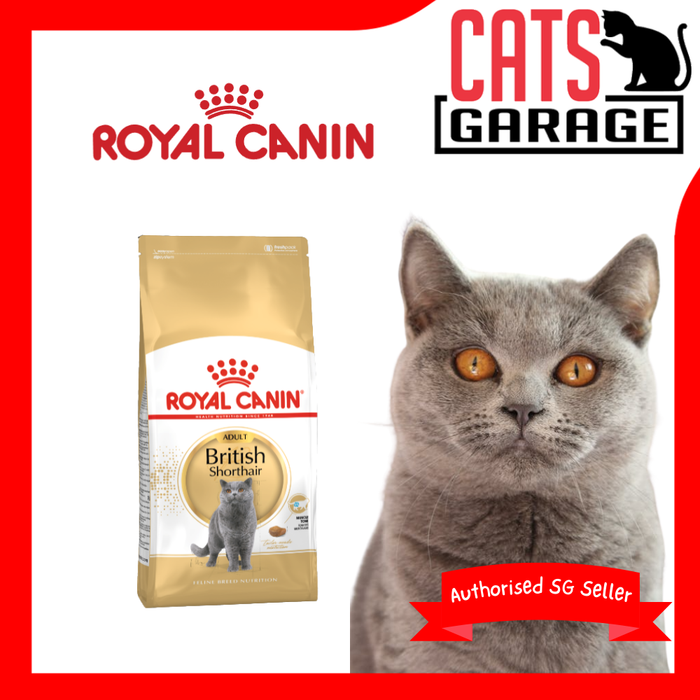 Royal Canin Feline Adult British Shorthair Cat Dry Food 4kg