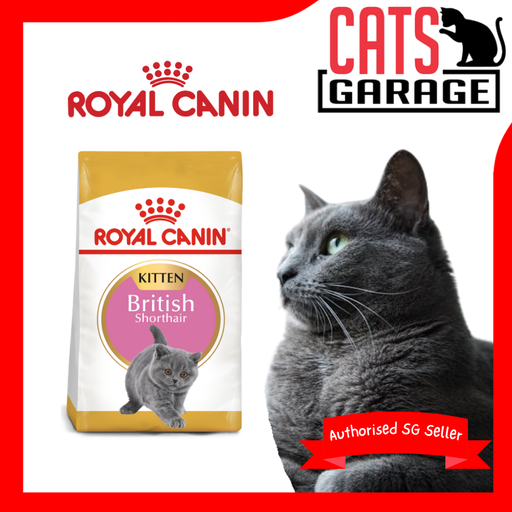 Royal Canin Feline Kitten British Shorthair Cat Dry Food 400g