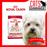 Royal Canin Canine Medium Adult Dry Dog Food (2 Sizes)