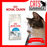 Royal Canin Feline Indoor 27 Cat Dry Food (3 Sizes)