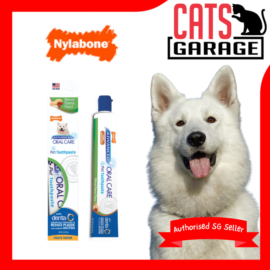 Nylabone Advanced Oral Care Dog Peanut Butter Toothpaste