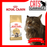 Royal Canin Feline Adult Maine Coon Cat Dry Food 4kg