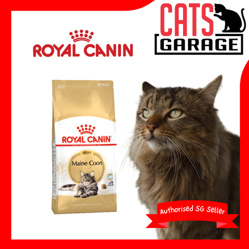 Royal Canin Feline Adult Maine Coon Cat Dry Food 4kg