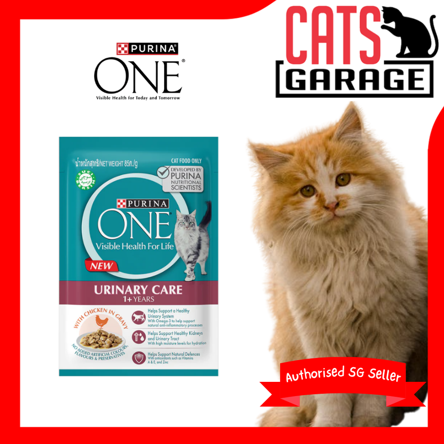 Purina One Cat Adult Urinary Care Chicken in Gravy Cat Wet Food 85g