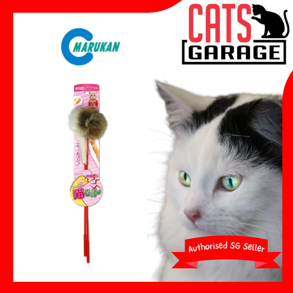 Marukan Cat Teaser Ball
