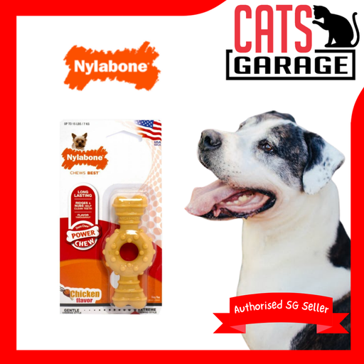 Nylabone Dura Chew Textured Ring Bone Petite Dog Toy