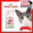 Royal Canin Feline Fit 32 Cat Dry Food (3 Sizes)
