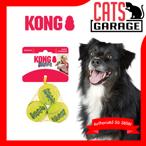 KONG Squeakair Ball Dog Toy (4 Sizes)