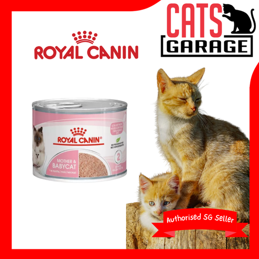 Royal Canin Feline Mother & Baby Cat Wet Food 195g