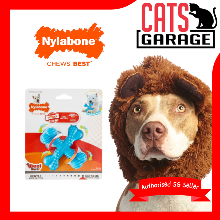 Nylabone Dura Chew Power Chew Power X Bone Beef Regular