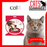 Catit® Play 3 in 1 Circuit Ball Toy with Scratch Pad for Cats