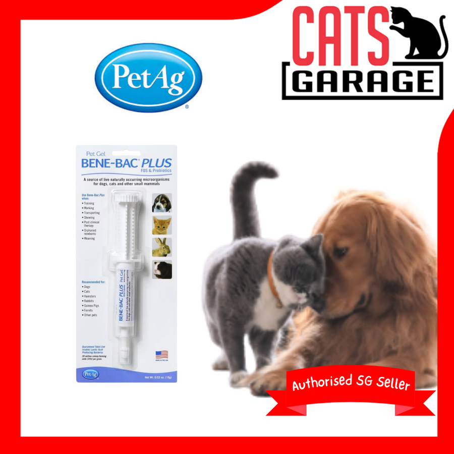 PetAg Bene-Bac Plus FOS & Probiotics Pet Gel Supplement Syringe 15g