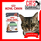Royal Canin Feline Pouch Digest Sensitive Cat Wet Food  85g X12