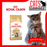 Royal Canin Adult/Kitten Maine Coon (3 Sizes)