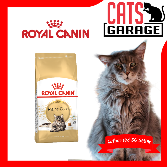 Royal Canin Adult/Kitten Maine Coon (3 Sizes)