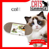 Cat Home & Sleep